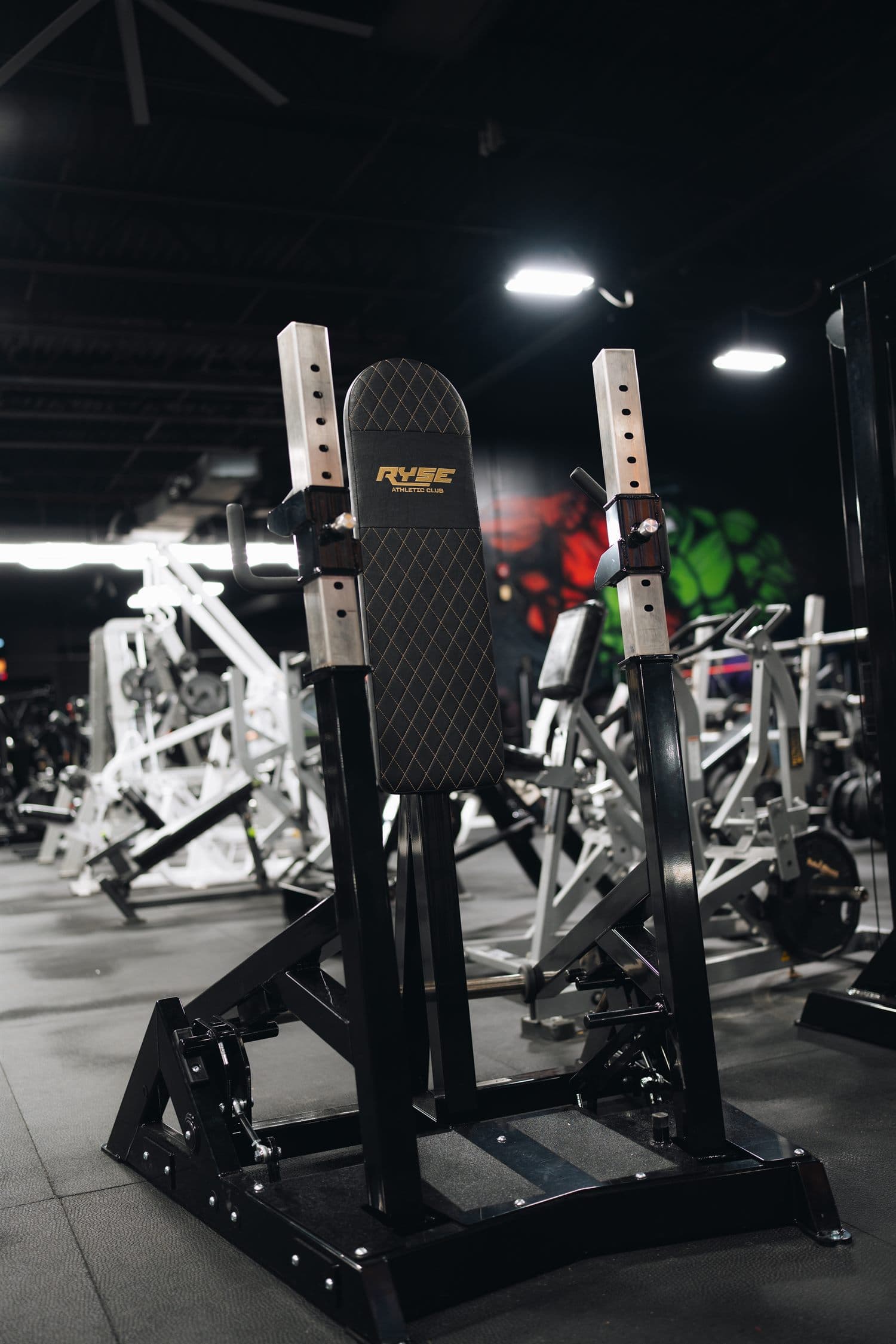 Ryse Athletic Club 43